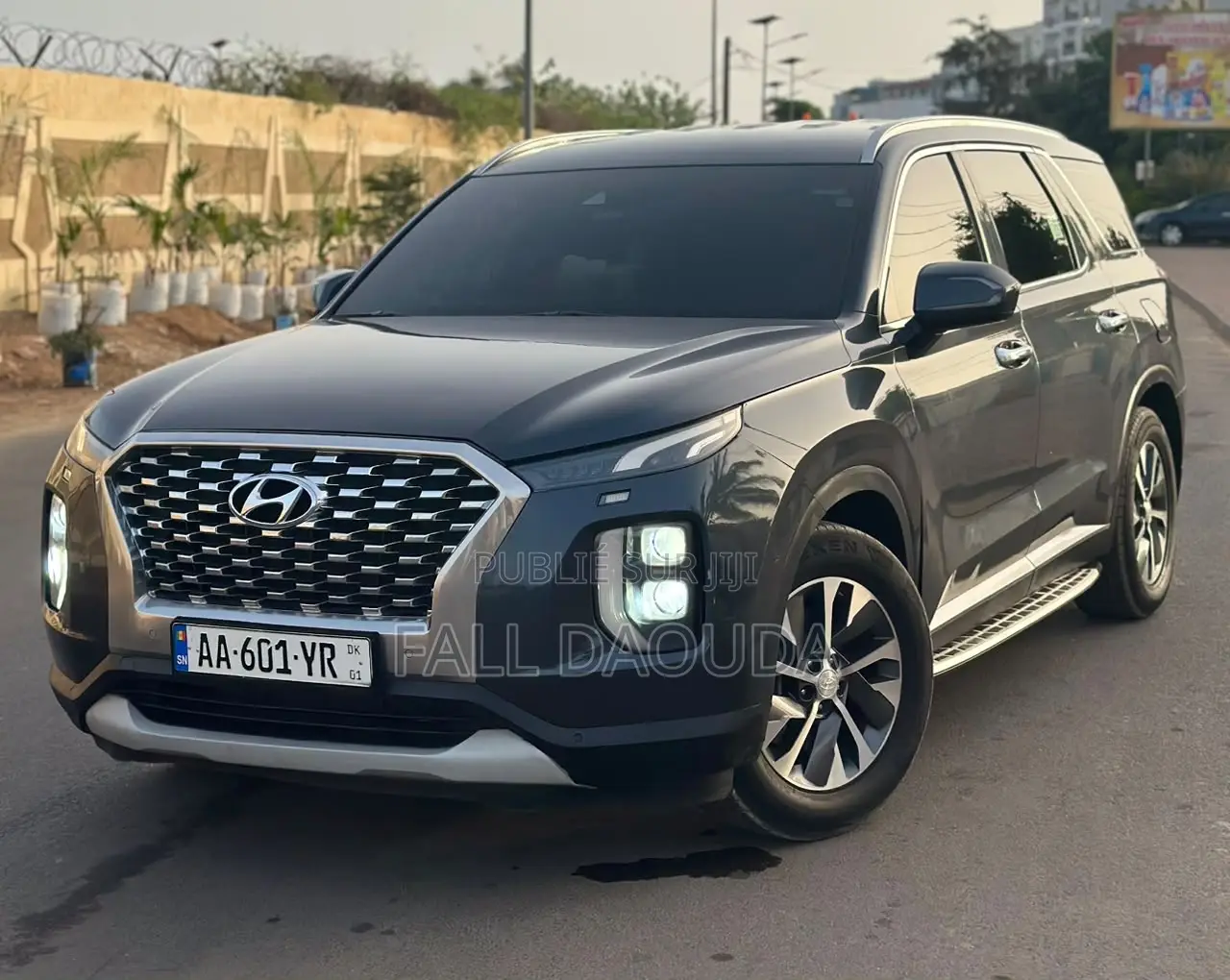 Hyundai Palissade 2019 Bleu