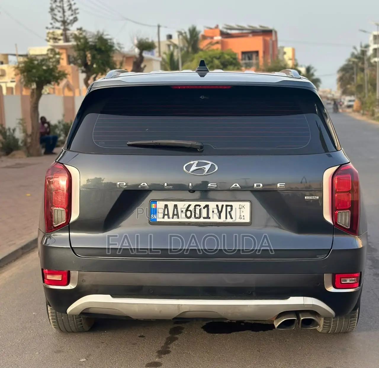 Hyundai Palissade 2019 Bleu