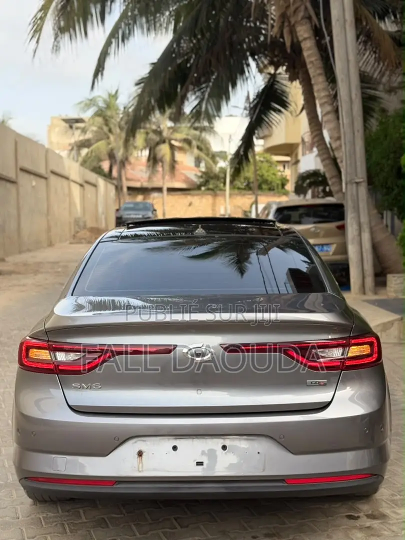 Renault Samsung SM6 2017 Gris