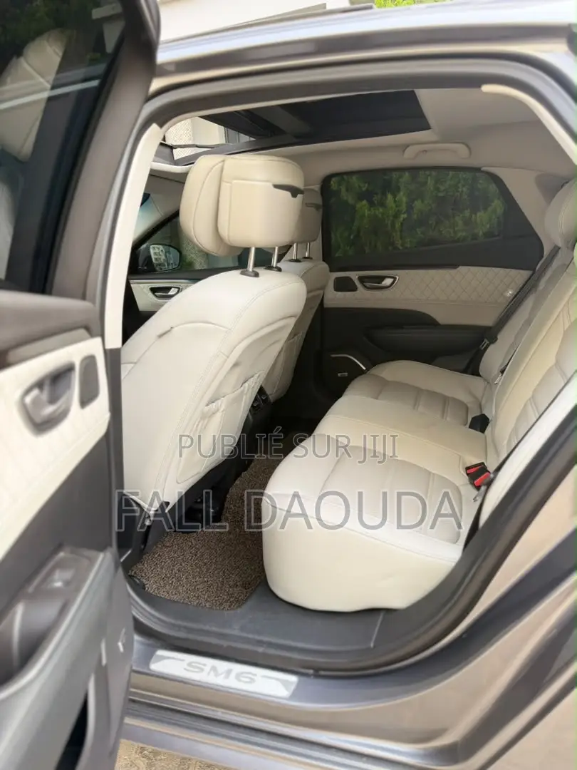 Renault Samsung SM6 2017 Gris