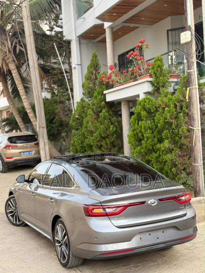 Renault Samsung SM6 2017 Gris