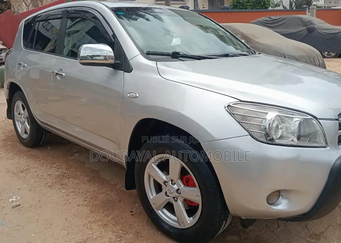 Toyota RAV4 2008 Gris