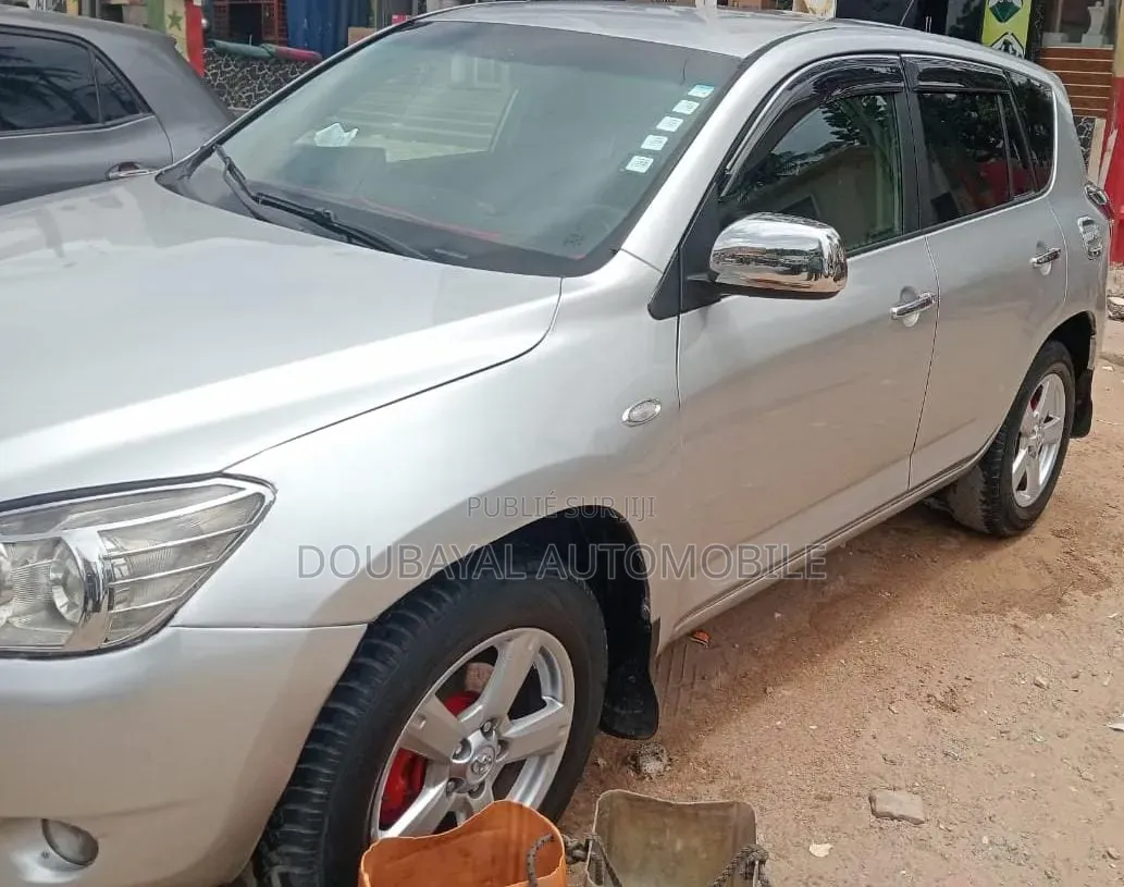 Toyota RAV4 2008 Gris