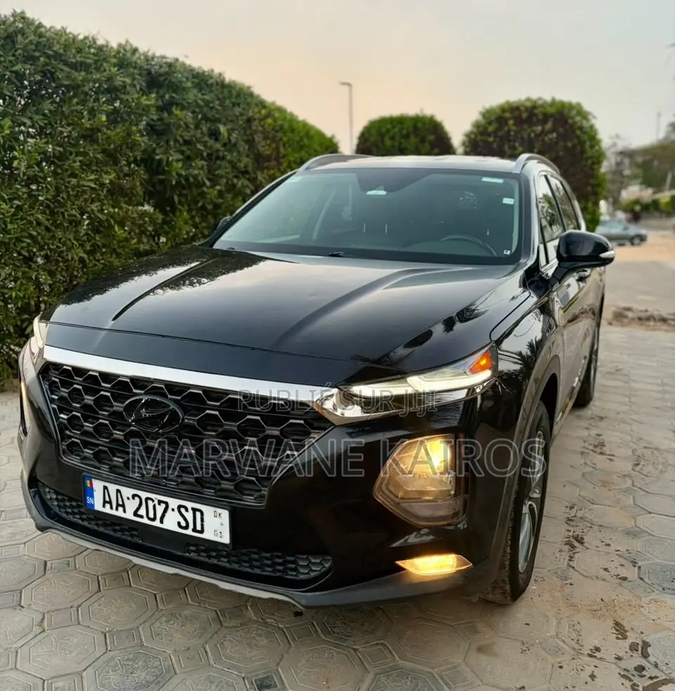 Hyundai Santa Fe 2019 Noir