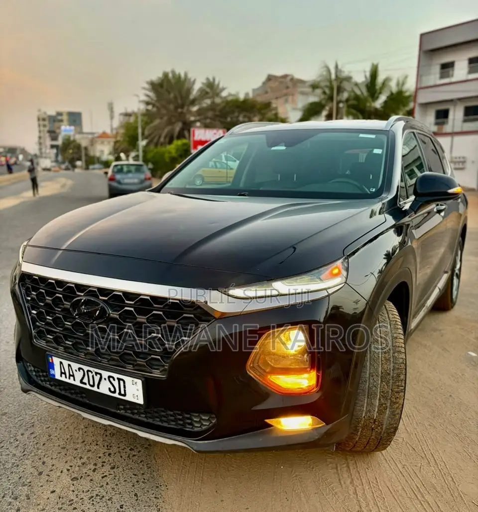 Hyundai Santa Fe 2019 Noir