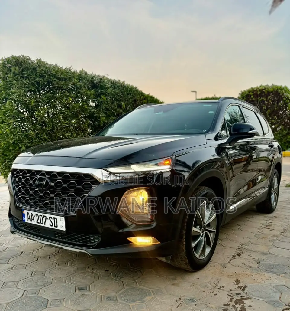 Hyundai Santa Fe 2019 Noir