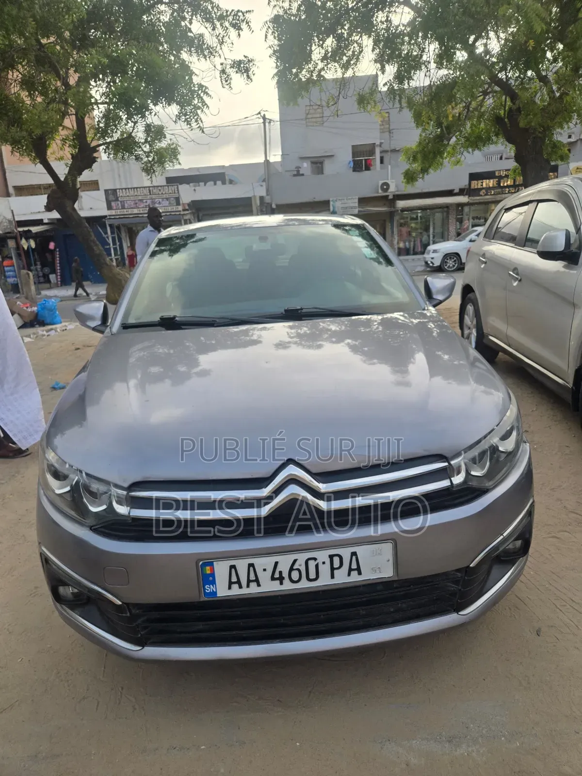 Citroen C-Elysee 2018 Gris