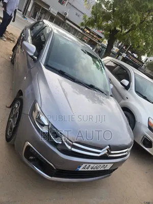 Citroen C-Elysee 2018 Gris