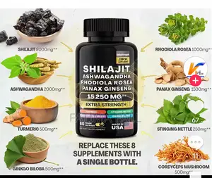 Produit Shiladjit