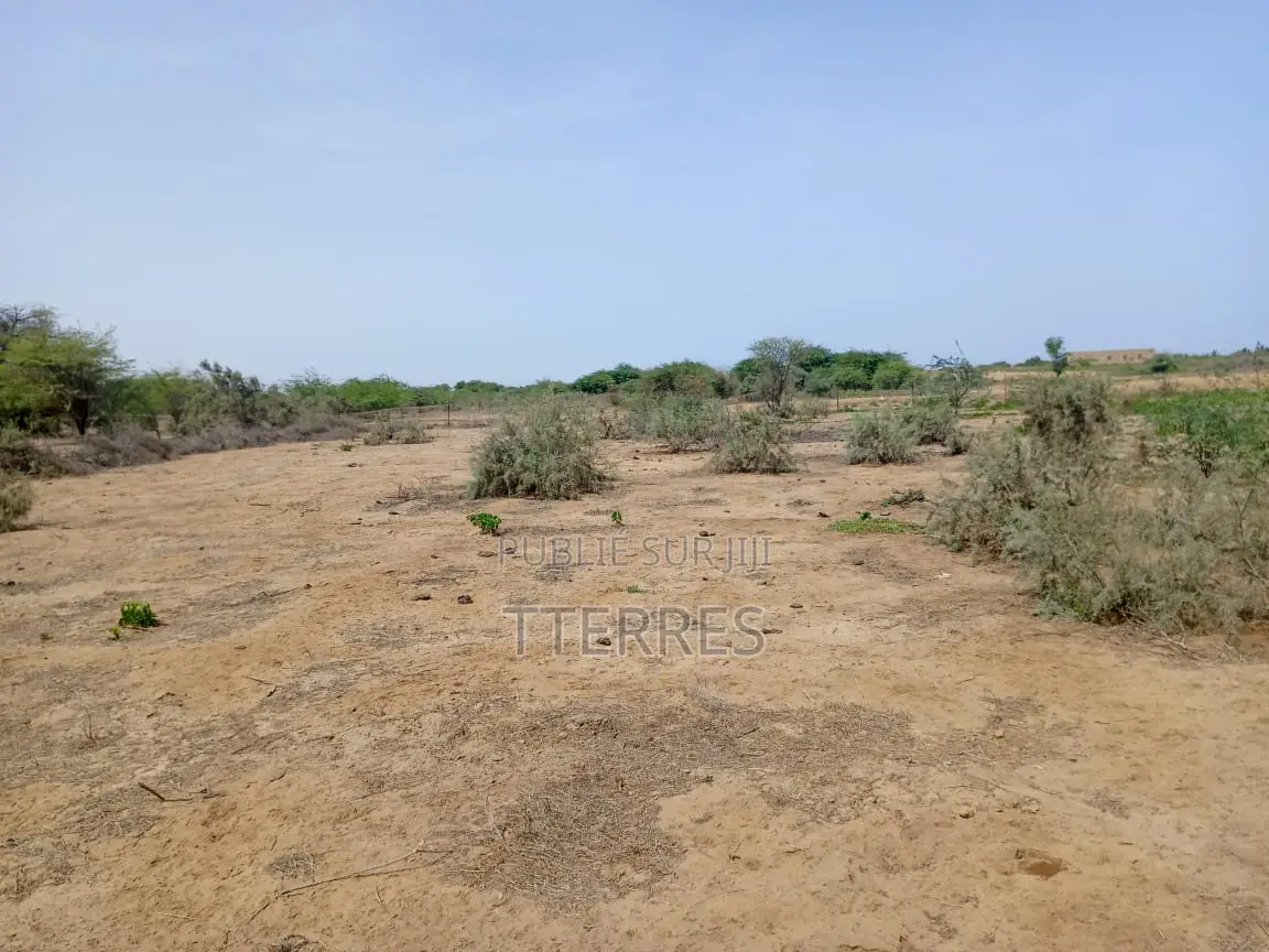 Terrain Agricole De 5 Hectares Vers Diama - Saint Louis