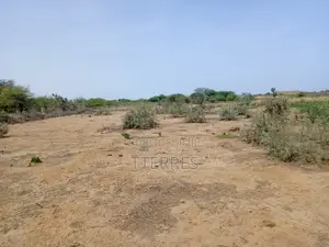 Terrain Agricole De 5 Hectares Vers Diama - Saint Louis