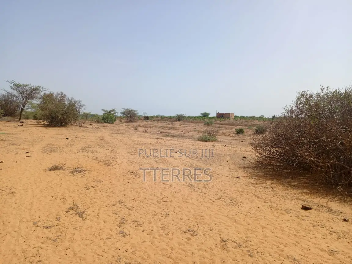 Terrain Agricole De 5 Hectares Vers Diama - Saint Louis