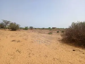 Terrain Agricole De 5 Hectares Vers Diama - Saint Louis