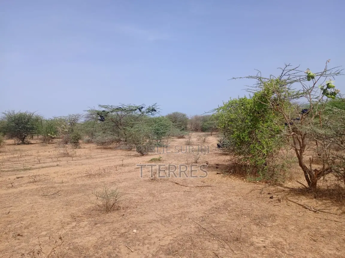 Terrain Agricole De 5 Hectares Vers Diama - Saint Louis