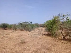Terrain Agricole De 5 Hectares Vers Diama - Saint Louis