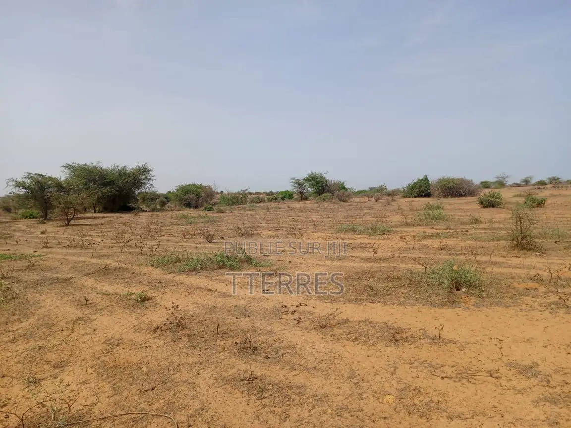 Terrain Agricole De 5 Hectares Vers Diama - Saint Louis