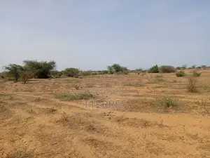 Terrain Agricole De 5 Hectares Vers Diama - Saint Louis