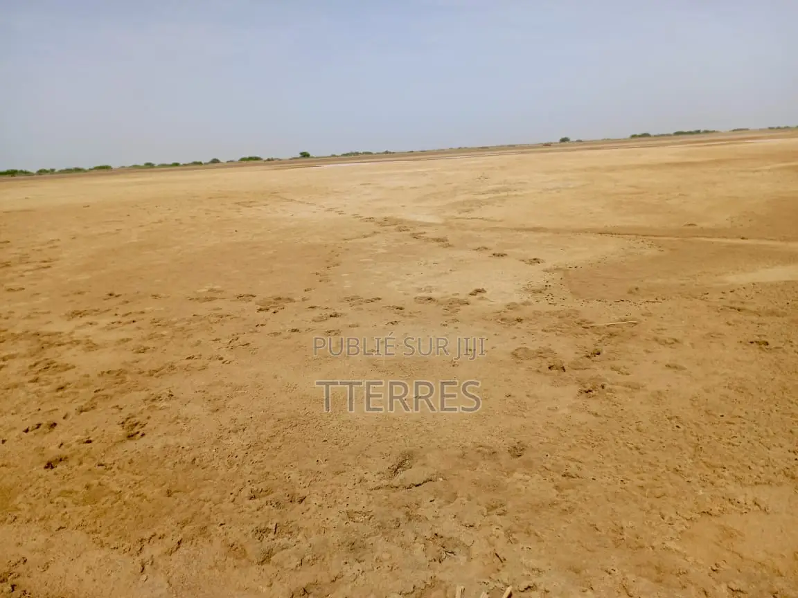 Terrain Agricole De 15,05 Hectares Vers Diama Saint Louis