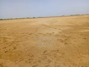 Terrain Agricole De 15,05 Hectares Vers Diama Saint Louis