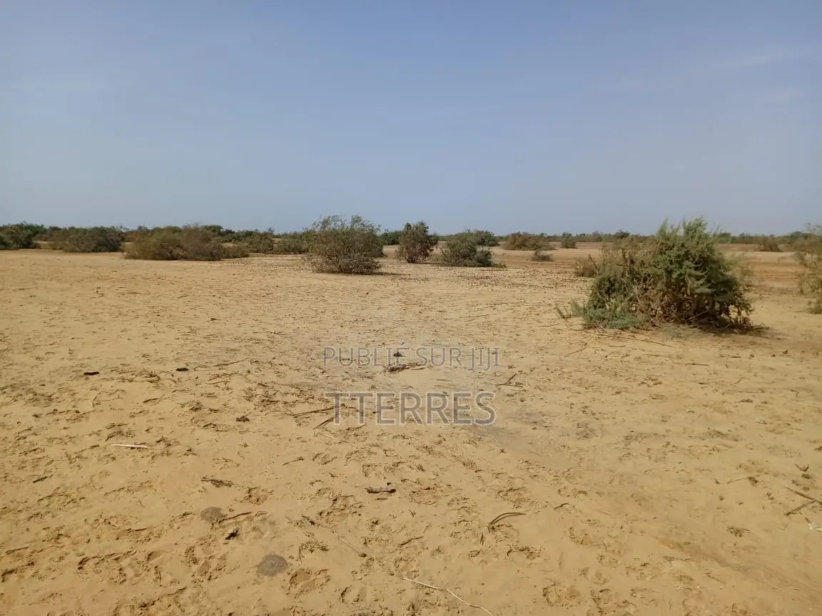 Terrain Agricole De 15,05 Hectares Vers Diama Saint Louis