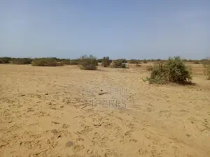Terrain Agricole De 15,05 Hectares Vers Diama Saint Louis