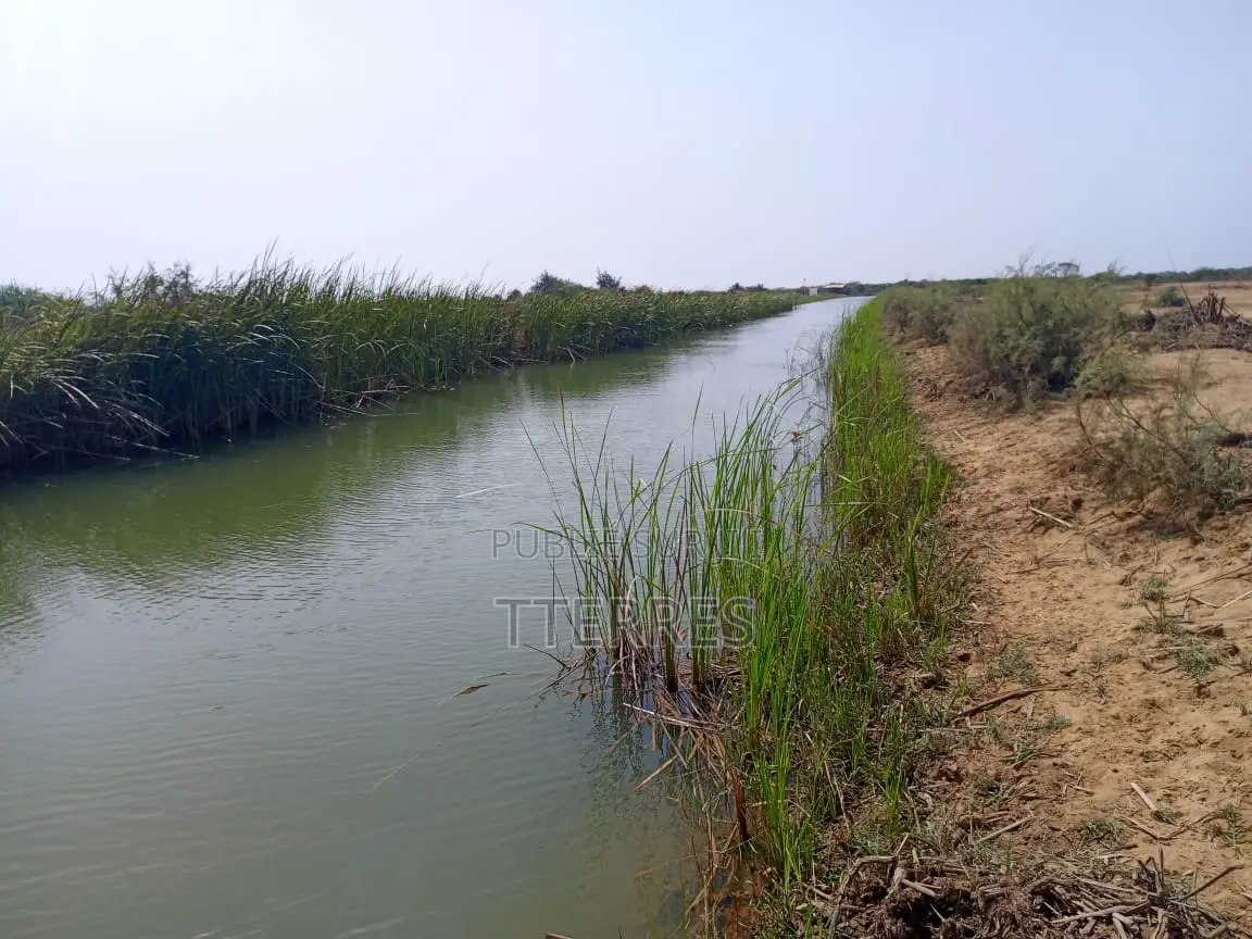 Terrain Agricole De 15,05 Hectares Vers Diama Saint Louis