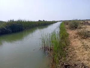 Terrain Agricole De 15,05 Hectares Vers Diama Saint Louis