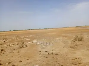 Terrain Agricole De 15,05 Hectares Vers Diama Saint Louis