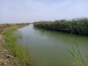 Terrain Agricole De 15,05 Hectares Vers Diama Saint Louis