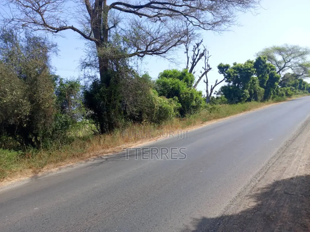 Terrain Industriel De 1 Hectare Vers Keur Madaro