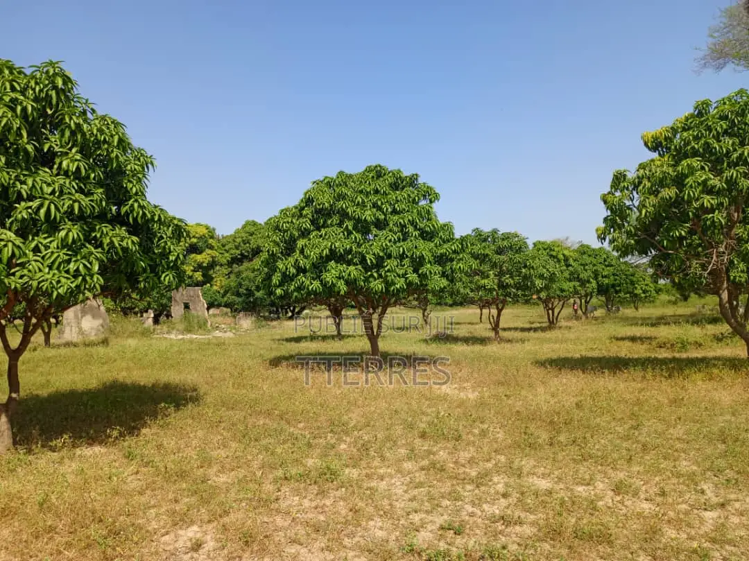 Terrain Industriel De 1 Hectare Vers Keur Madaro