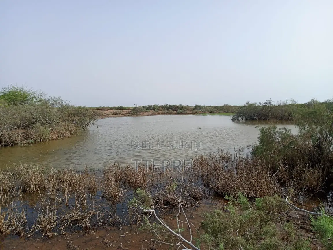 Terrain Agricole De 2 Hectares Vers Diama - Saint Louis