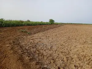 Terrain Agricole De 2 Hectares Vers Diama - Saint Louis