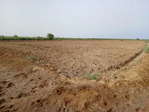 Terrain Agricole De 2 Hectares Vers Diama - Saint Louis