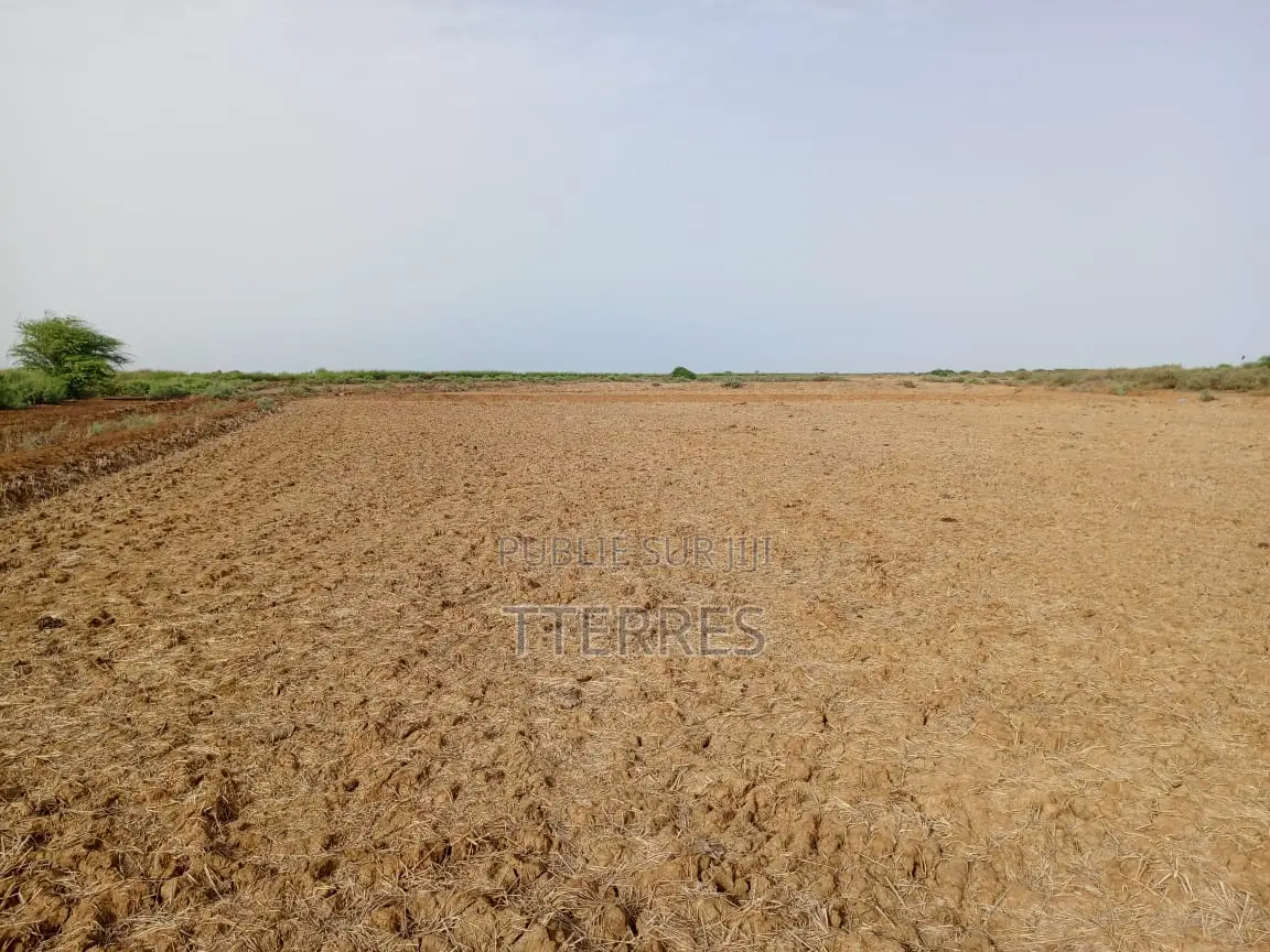 Terrain Agricole De 2 Hectares Vers Diama - Saint Louis