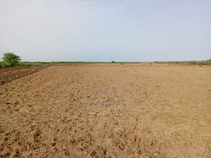 Terrain Agricole De 2 Hectares Vers Diama - Saint Louis