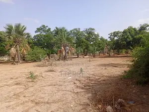 Verger Agricole De 9662 M2 Vers La Rn3