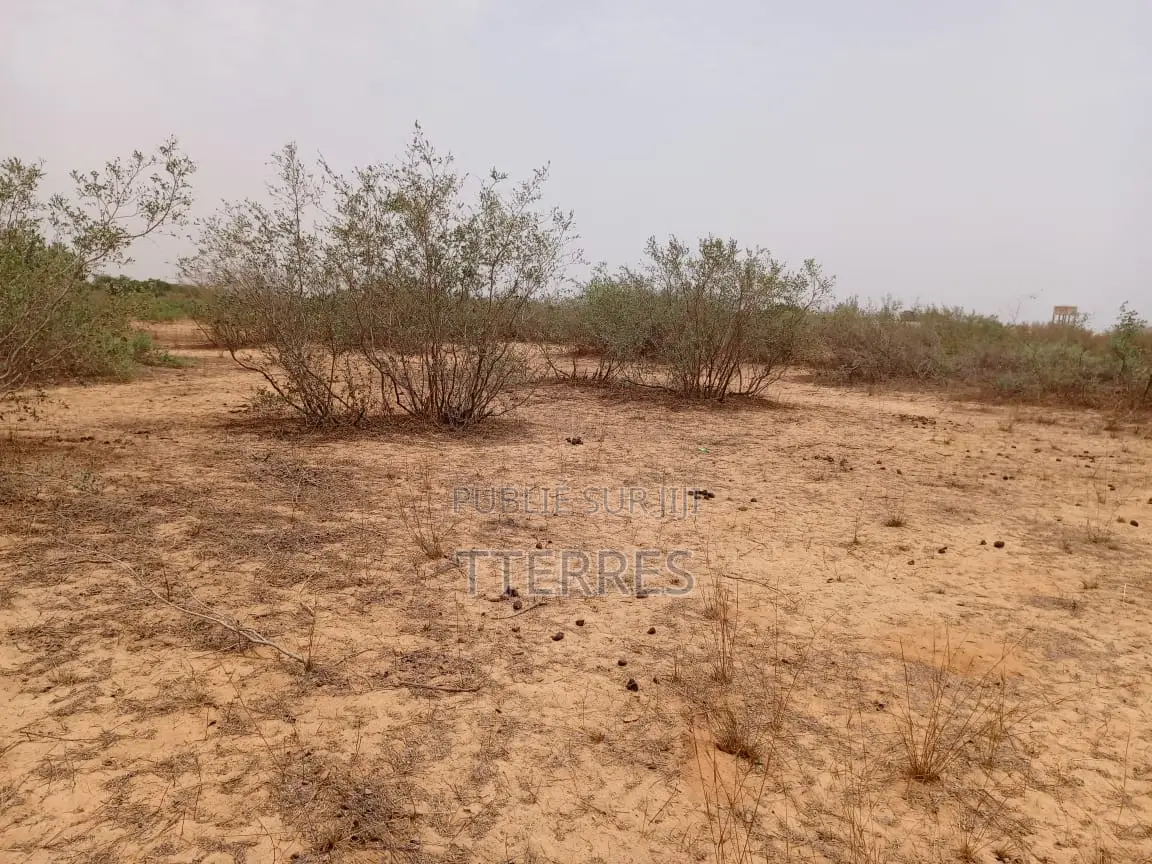 Terrain Agricole De 1,49 Hectares Vert Notto Diobass - Thiès