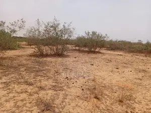 Terrain Agricole De 1,49 Hectares Vert Notto Diobass - Thiès