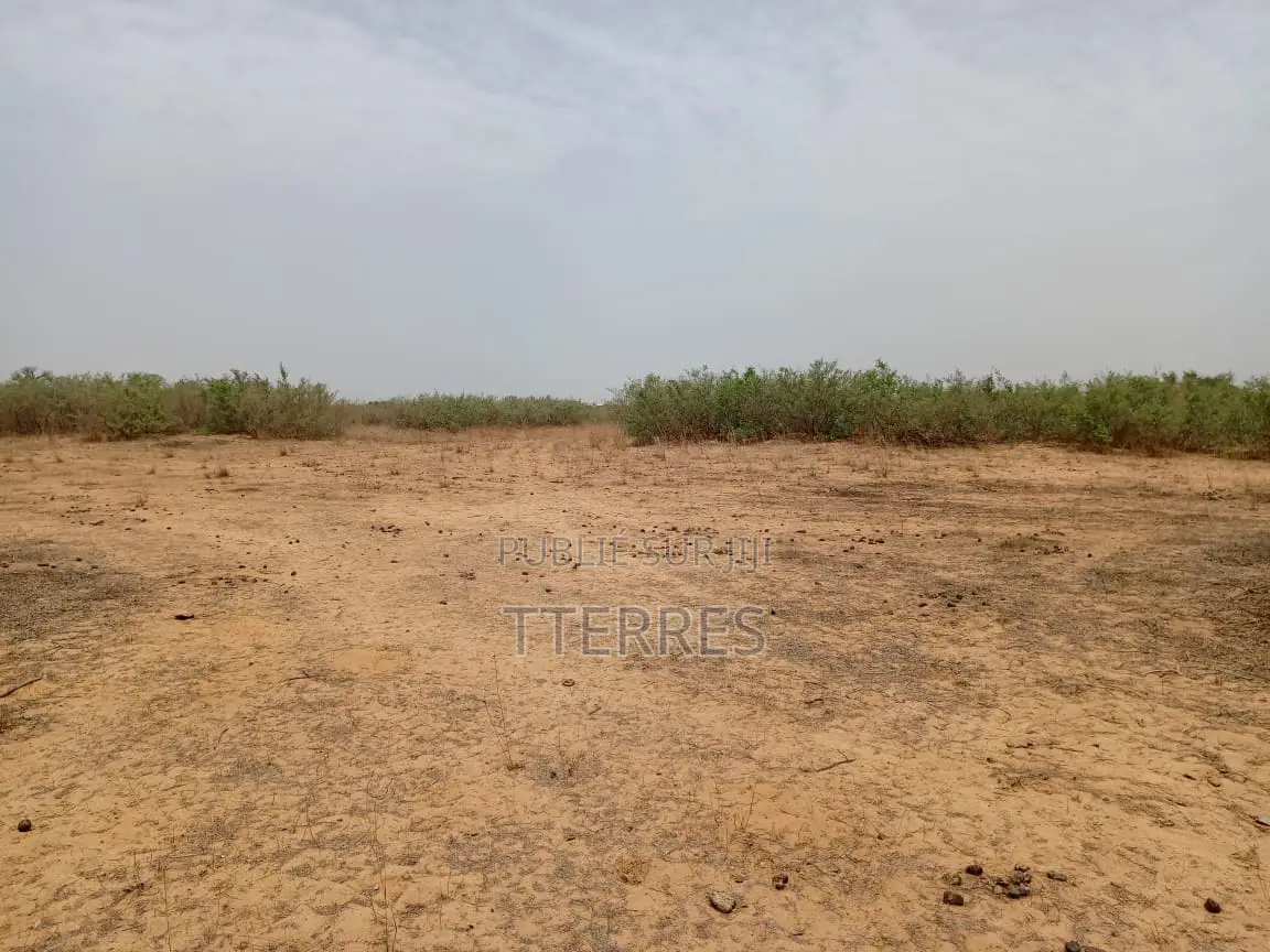 Terrain Agricole De 1,49 Hectares Vert Notto Diobass - Thiès