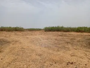 Terrain Agricole De 1,49 Hectares Vert Notto Diobass - Thiès