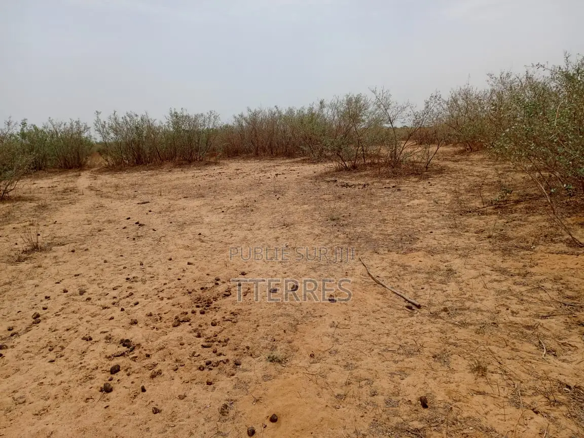 Terrain Agricole De 1,49 Hectares Vert Notto Diobass - Thiès
