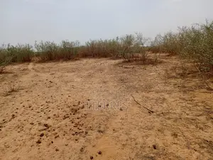 Terrain Agricole De 1,49 Hectares Vert Notto Diobass - Thiès