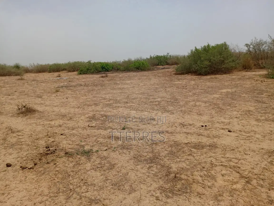 Terrain Agricole De 8119 M2 Vert Notto Diobass - Thiès