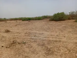 Terrain Agricole De 8119 M2 Vert Notto Diobass - Thiès