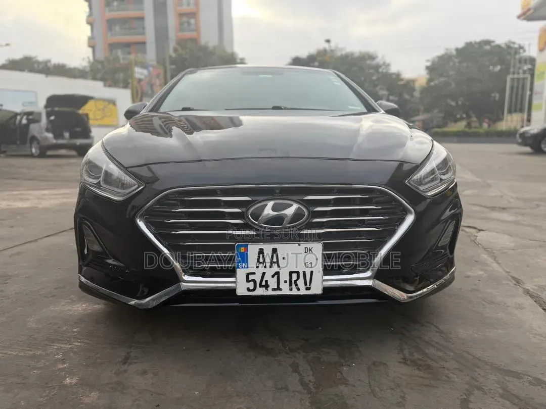 Hyundai Sonata 2019 Noir Mat
