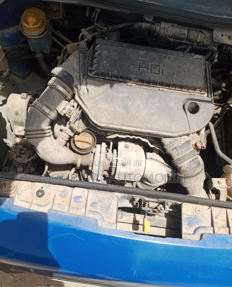 Peugeot Partenaire 2013 Bleu