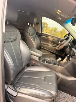 Hyundai Santa Fe 2019 Autre