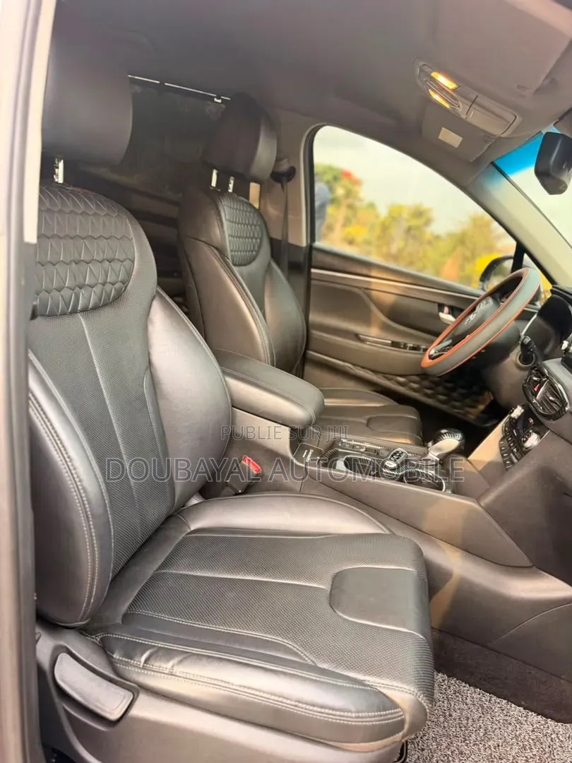 Hyundai Santa Fe 2019 Autre