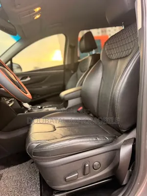 Hyundai Santa Fe 2019 Autre